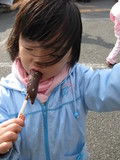 晩秋キャンプ IN静岡 ②