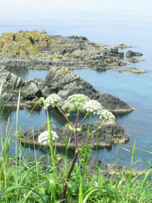 北海道へ行こう♪道北・2013夏②