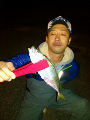 YOU 買っちゃいなよ!