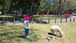 初キャンプ2日目 初キャンプ2日目