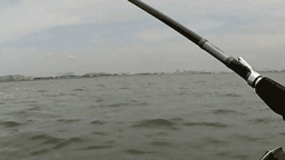 久々のデイウェーディング 久々のデイウェーディング