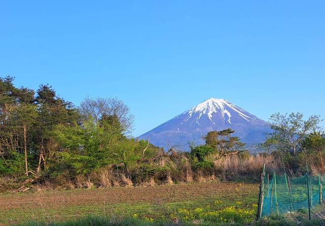富士山を満喫・・・( ^ω^)V