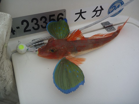 状況一変 状況一変