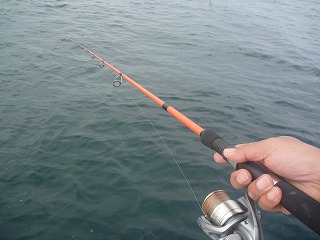 テンヤ終盤 どれほど釣れるか テンヤ終盤 どれほど釣れるか