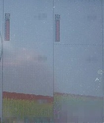 アコウライン その後 アコウライン その後