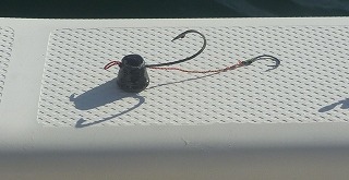 開拓成功! アコウライン 開拓成功! アコウライン