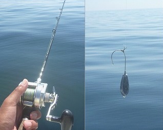 開拓成功! アコウライン 開拓成功! アコウライン