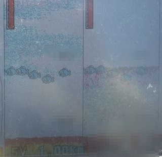開拓成功! アコウライン 開拓成功! アコウライン