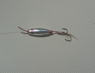 開拓成功! アコウライン 開拓成功! アコウライン