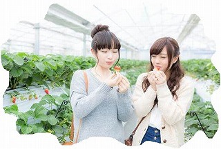 K軍団ツーリング3回目(2つのリベンジ) K軍団ツーリング3回目(2つのリベンジ)