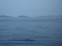 久々岸ジギ 久々岸ジギ