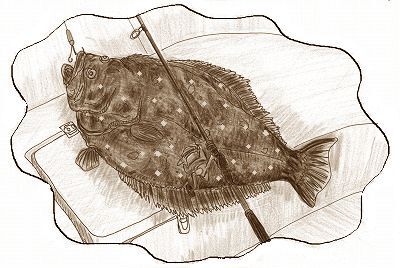え? ハモなの?? え? ハモなの??