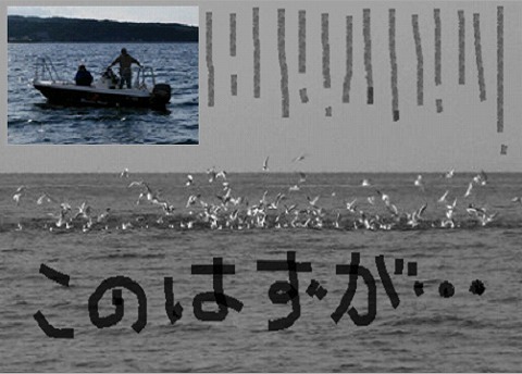 沸いてない (タイラバ君ごめんね) 沸いてない (タイラバ君ごめんね)