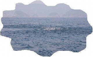沸いてない (タイラバ君ごめんね) 沸いてない (タイラバ君ごめんね)