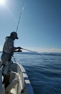 石鯛 どれほど攻めるか 石鯛 どれほど攻めるか