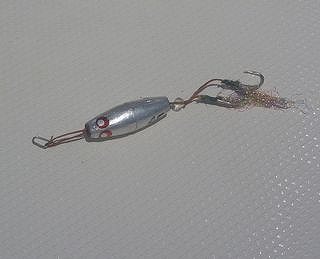 開拓 アコウライン 開拓 アコウライン