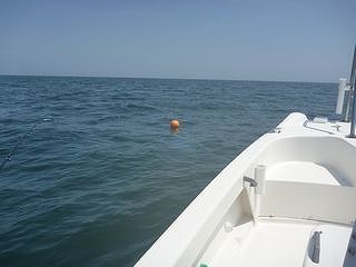 開拓 アコウライン 開拓 アコウライン