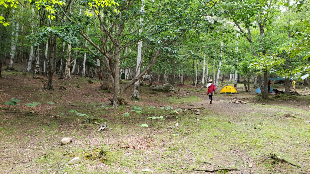 夏の廻り目平と金峰山 夏の廻り目平と金峰山