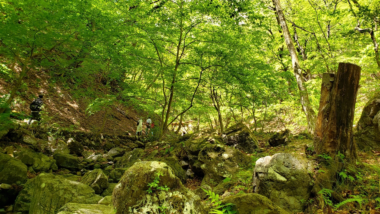 青梅奥多摩 御岳山トレッキング 青梅奥多摩 御岳山トレッキング