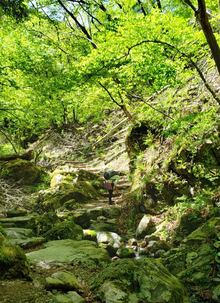 青梅奥多摩 御岳山トレッキング 青梅奥多摩 御岳山トレッキング
