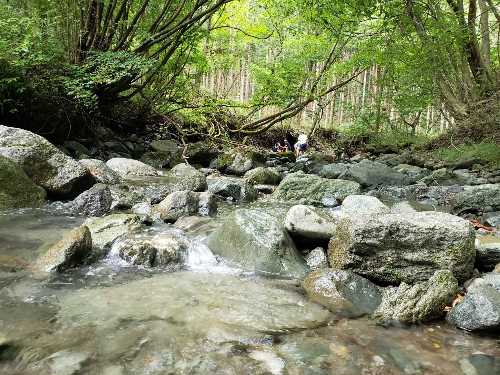 夏のおもいで 富士ふもと村 (前編) 夏のおもいで 富士ふもと村 (前編)