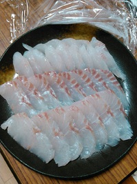 あっぱれF氏の釣果!