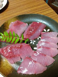 青物シーズン開幕Xデー予想的中!週末を満喫☆