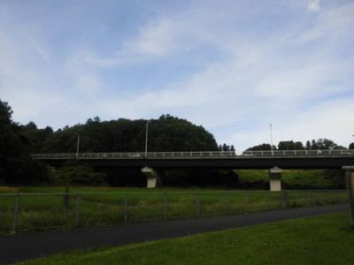 暑かったから谷津田へ 暑かったから谷津田へ