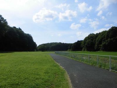 暑かったから谷津田へ 暑かったから谷津田へ