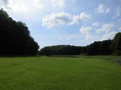 暑かったから谷津田へ 暑かったから谷津田へ