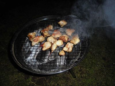 つくばねオートキャンプ場 2015.04.11~04.12 (その1) つくばねオートキャンプ場 2015.04.11~04.12 (その1)