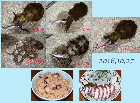 毎年恒例のアコウ釣り〜 毎年恒例のアコウ釣り〜