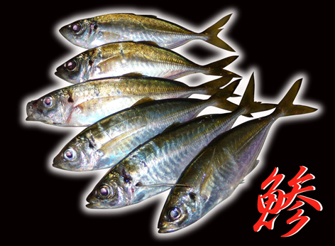 鯵は、終わりかいの〜? 鯵は、終わりかいの〜?