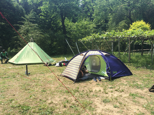 ひと月前のひだまりキャンプ