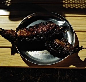 北薩広域公園での平日キャンプはソロキャンで肉キャンからのうなぎキャン! 北薩広域公園での平日キャンプはソロキャンで肉キャンからのうなぎキャン!