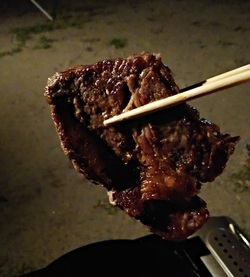 北薩広域公園での平日キャンプはソロキャンで肉キャンからのうなぎキャン! 北薩広域公園での平日キャンプはソロキャンで肉キャンからのうなぎキャン!