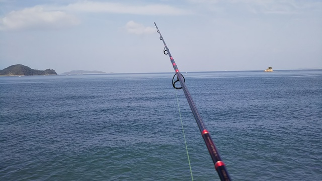 釣行 松山 アナゴ 釣行 松山 アナゴ
