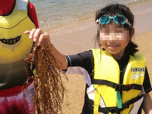 ちょっぴり早い海水浴?【また志摩に行ってしまいました】 ちょっぴり早い海水浴?【また志摩に行ってしまいました】