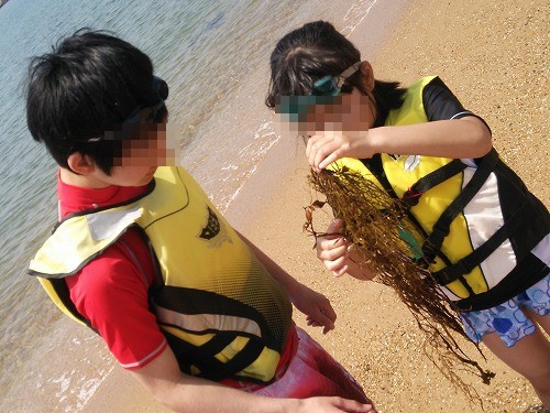 ちょっぴり早い海水浴?【また志摩に行ってしまいました】 ちょっぴり早い海水浴?【また志摩に行ってしまいました】