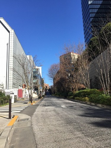 続 2016年の締めくくりは東京へ(東京生活2016) 続 2016年の締めくくりは東京へ(東京生活2016)