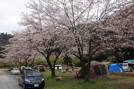 青野原お花見キャンプ 2016 初日 青野原お花見キャンプ 2016 初日