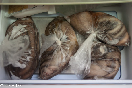 蛸と大根のやわらか煮 ~ソーダストリーム活用~ 蛸と大根のやわらか煮 ~ソーダストリーム活用~
