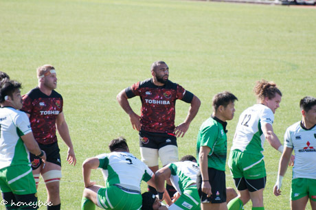 風が強い週末は 風が強い週末は
