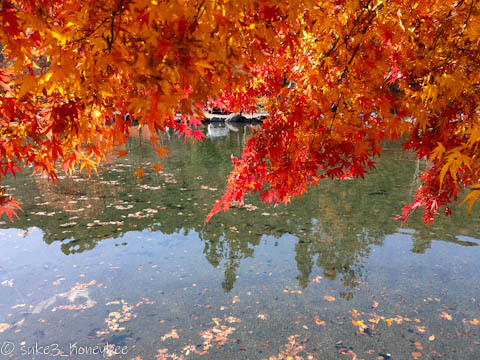 道志の森の紅葉確認ツーリング 道志の森の紅葉確認ツーリング