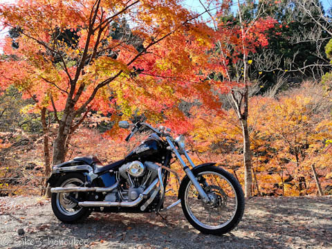 道志の森の紅葉確認ツーリング 道志の森の紅葉確認ツーリング