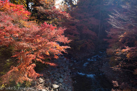 道志の森の紅葉確認ツーリング 道志の森の紅葉確認ツーリング