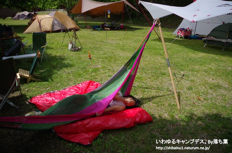 2018/5/26【ワイルドフィールズおじか】 2018/5/26【ワイルドフィールズおじか】