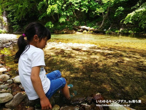 2018/5/26【ワイルドフィールズおじか】 2018/5/26【ワイルドフィールズおじか】