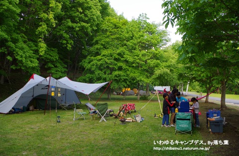 2018/5/26【ワイルドフィールズおじか】 2018/5/26【ワイルドフィールズおじか】