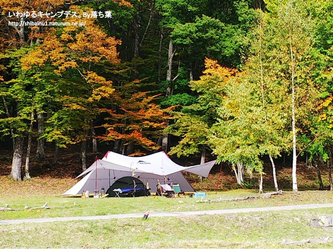 2018/10/20【ワイルドフィールズおじか】前半 2018/10/20【ワイルドフィールズおじか】前半